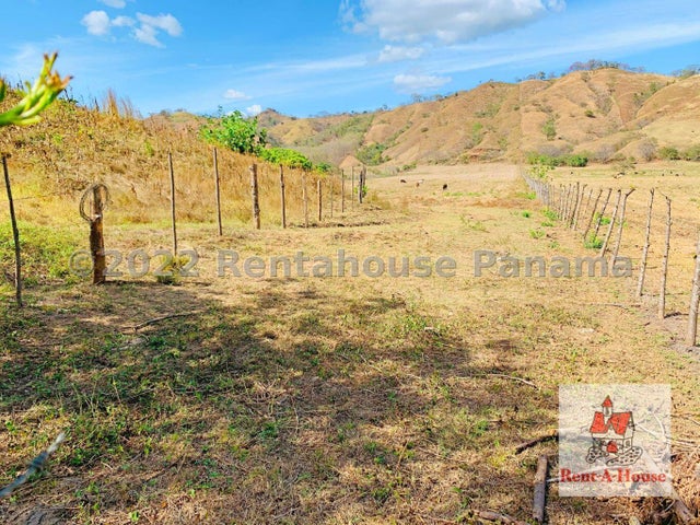 Commercial Property for Sale in Pedasi Los Santos 06065